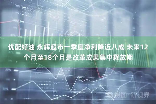 优配好油 永辉超市一季度净利降近八成 未来12个月至18个月是改革成果集中释放期