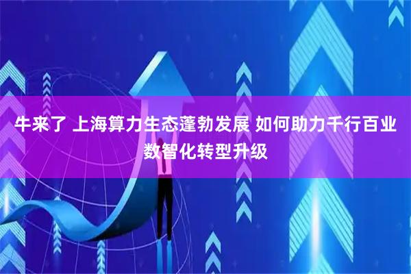 牛来了 上海算力生态蓬勃发展 如何助力千行百业数智化转型升级