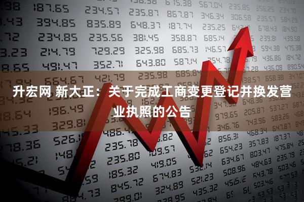 升宏网 新大正：关于完成工商变更登记并换发营业执照的公告