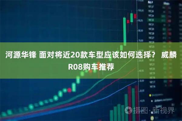 河源华锋 面对将近20款车型应该如何选择？ 威麟R08购车推荐