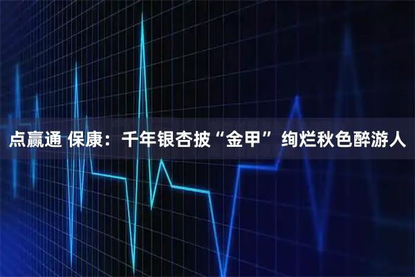 点赢通 保康:千年银杏披“金甲” 绚烂秋色醉游人