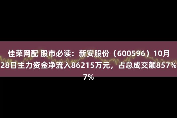 佳荣网配 股市必读：新安股份（600596）10月28日主力资金净流入86215万元，占总成交额857%
