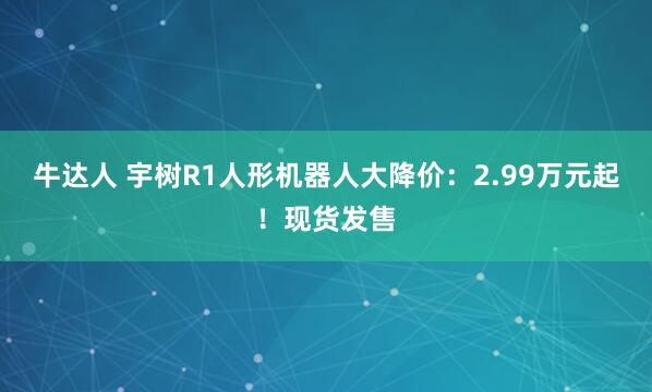 牛达人 宇树R1人形机器人大降价：2.99万元起！现货发售
