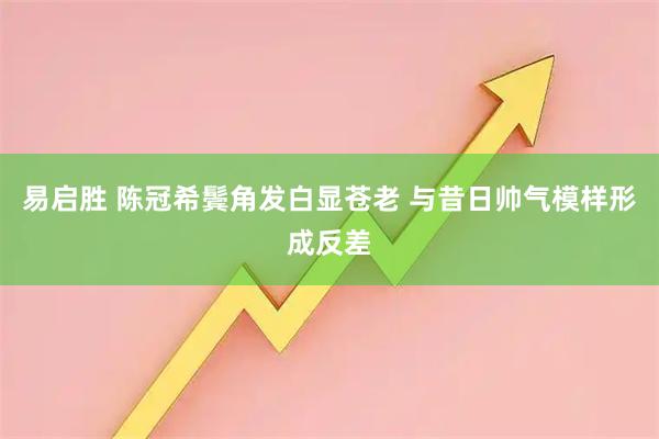 易启胜 陈冠希鬓角发白显苍老 与昔日帅气模样形成反差